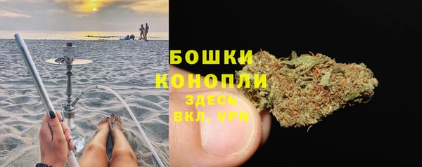 СК Покровск