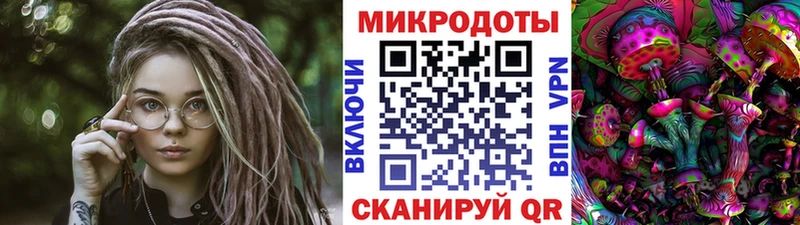 mega онион Магадан Галлюциногенные грибы Cubensis