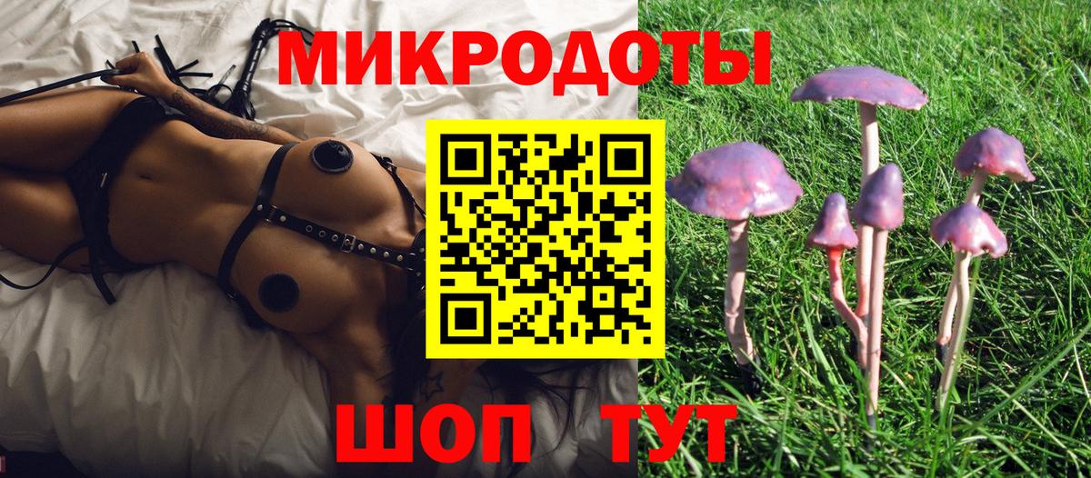 Галлюциногенные грибы Magic Shrooms Магадан
