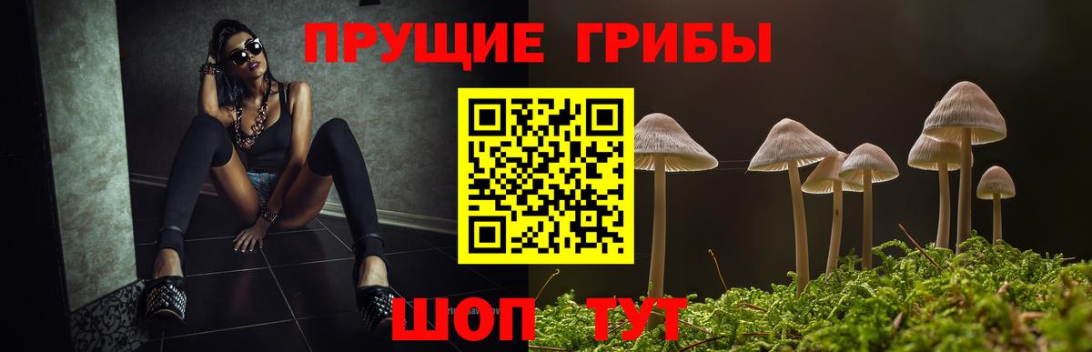 Магадан  Псилоцибиновые грибы Magic Shrooms  Псилоцибиновые грибы прущие грибы  как найти   Вход с VPN 